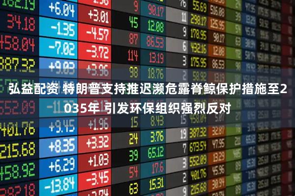 弘益配资 特朗普支持推迟濒危露脊鲸保护措施至2035年 引发环保组织强烈反对
