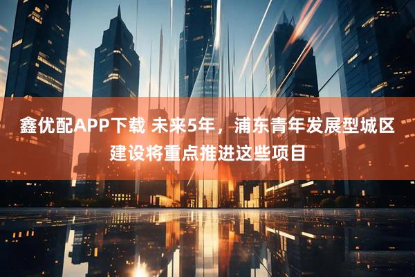 鑫优配APP下载 未来5年，浦东青年发展型城区建设将重点推进这些项目
